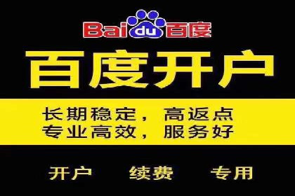 实战案例：SEM优化助力品牌知名度提升